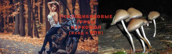 ешки Майский