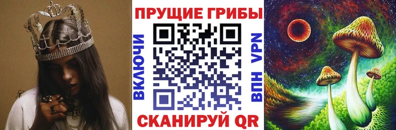 Псилоцибиновые грибы прущие грибы гидра Никольское